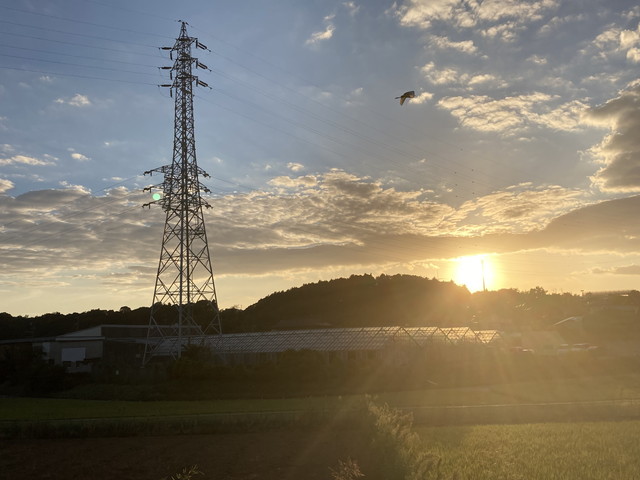 夕景